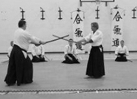 Aikido Training
