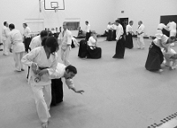 Aikido Training